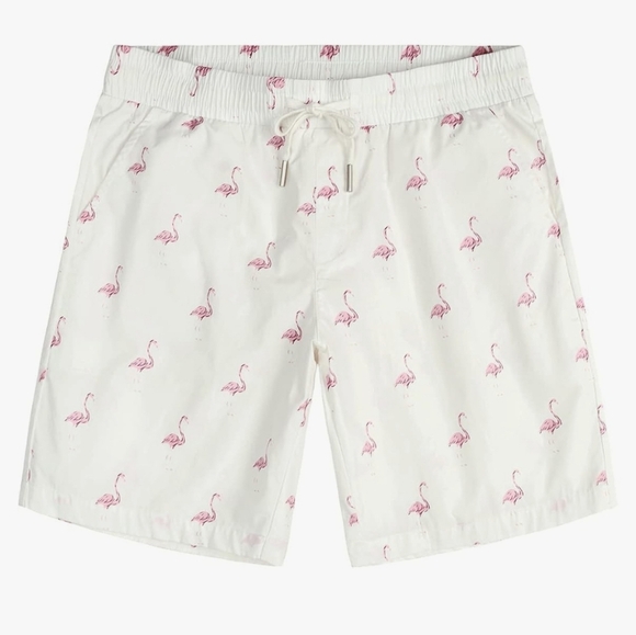 Hawaiian Shirt & shorts flamingo outfit matching set. Beach / vacation - Picture 4 of 6